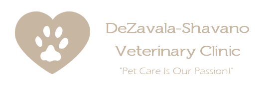 Dezavala-Shavano Veterinary Clinic