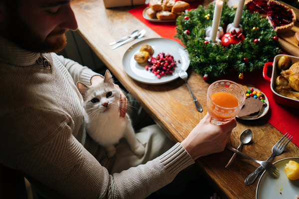 image for The Festive but Forbidden Pet Snack List